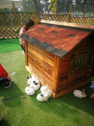 -萌宠亲子动物乐园(槐房万达店)