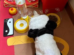 -江山万里