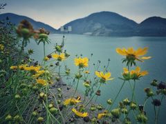 -长沙黑麋峰国家森林公园