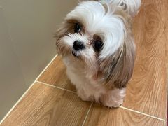 -和它·交个朋友·狗咖猫咖(爱琴海店)