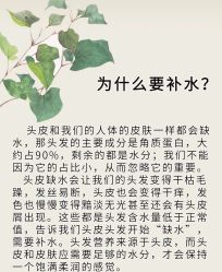 -木北造型