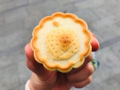 山楂小饼-泸溪河桃酥(壹方城店)