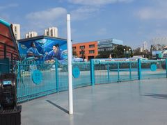 -海合安武汉极地海洋公园