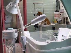 -FAELING PETS美天灵宠物(合生汇店)