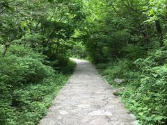 -青峰峡国家森林公园