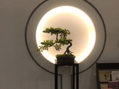 -席仁堂推拿按摩脊柱调理(世纪科贸大厦店)