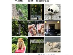 -大雁塔北广场音乐喷泉