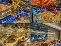 -东海怡品海鲜豆捞(舟宿夜江店)