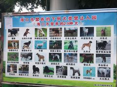 -万绿园