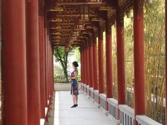-龙潭水乡