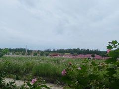 -嘉北郊野公园