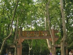 -灵谷景区