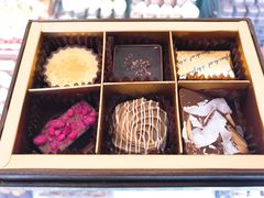 -DORABELLA朵娜贝拉(武林银泰店)