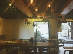 -柴务处·柴犬主题狗咖