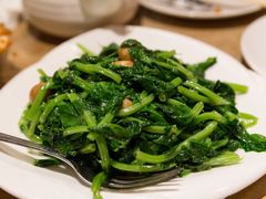 清炒豆苗-岭南小馆