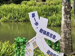 -呀诺达热带雨林