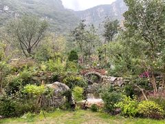 -幽岚山·童话森林