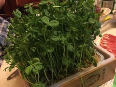 -皇城根(张杨店)
