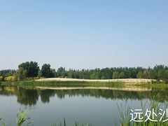-东郊湿地公园