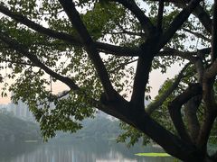-重庆彩云湖湿地公园