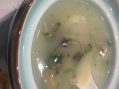-海中洲渔社