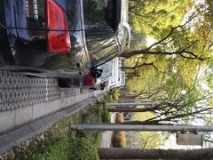 -新江湾城公园