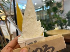 -野人先生Gelato(上海长宁龙之梦店)