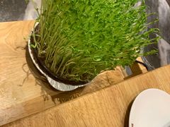 -好彩猪肚鸡(正弘城店)