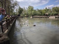 -溱湖国家湿地公园