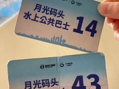 -金鸡湖游船(月光码头)