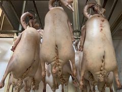 -区海鸡场饭店(石壁店)