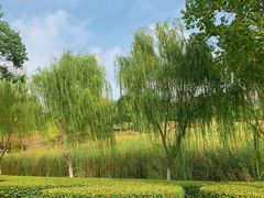 -滨湖塘西河公园