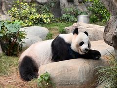 -香港海洋公园