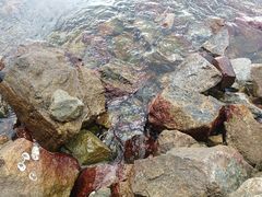 -碧桂园十里银滩