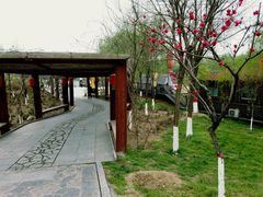 -西安汉城湖景区