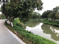 -长洲岛