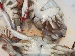 -半岛听涛蒸汽海鲜自助(K11店)