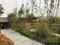 -郑州银基黄帝宫御温泉