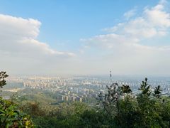 -杭州半山国家森林公园