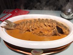 -阿五黄河大鲤鱼(英协路店)