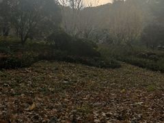 -河南省黄河迎宾馆