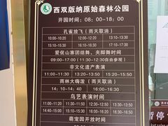 -西双版纳原始森林公园