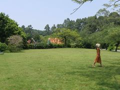 -南沙蒲洲花园