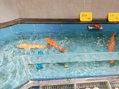 -好兄弟郭巨海鲜(天一阁店)