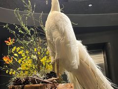 -滇野云南野生菌餐厅