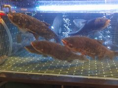 -衢农会·衢州菜·宴请(国际机场店)