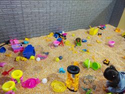 -嘟嘟乐儿童乐园(卜蜂莲花店)