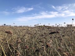 -赛汗塔拉风情园