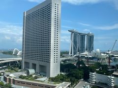 -新加坡泛太平洋酒店