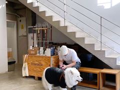 -UCCA Kids 儿童美育